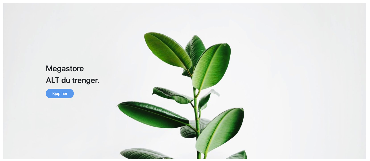 Skjermbilde 2022-10-03 kl. 15.44.01